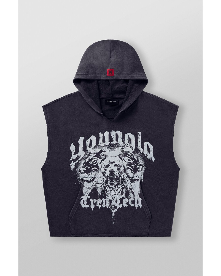 Youngla 5071 - Tren Twins This Makes Ur Arms look Huge hoodies